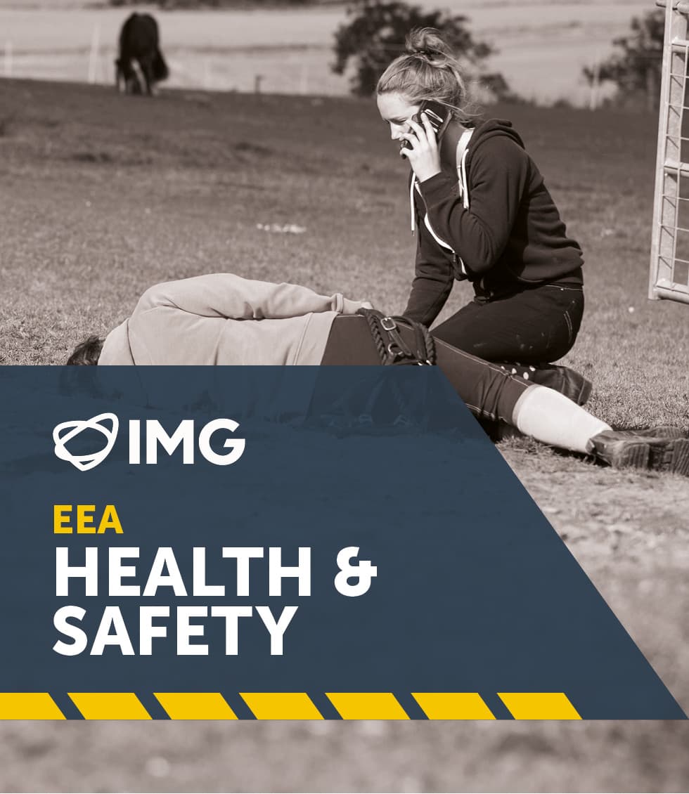 Health and Safety equine