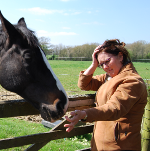 Equestrian Employer struggling with mental health
