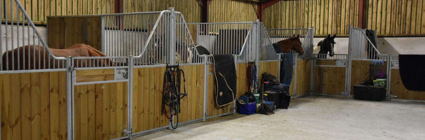 Equestrian Employers Association Members Insured yard