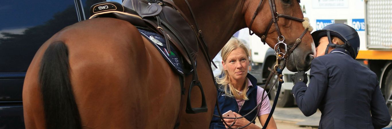 News for Equestrian Employers